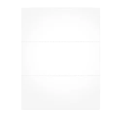 Adams Tax Forms<2024 Blank Tax Form, 50/Pack (BL1099-S)