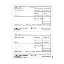 Adams Tax Forms<2024 W-2 1-Part Copy 1/D Laser/Inkject Tax Forms, 100/pack (LW2ERQ)