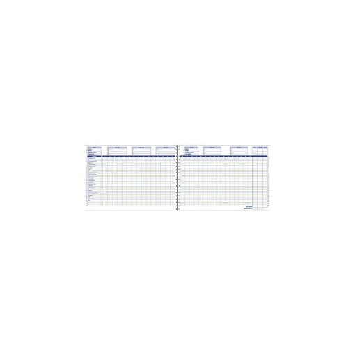 Cardinal Accounting & Record Journals<Adams Home and Office Budget Record Journal, Ruled, Blue (AFR31)