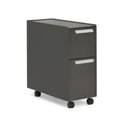 Allsteel File Cabinets<Radii 2-Drawer Mobile Vertical File Cabinet, Letter/Legal Size, Lockable, 21"H x 10"W x 24"D, Flint (APGMBS249TFN001)