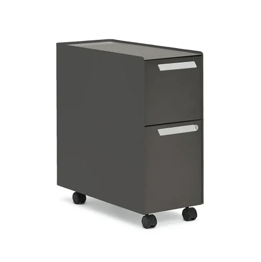 Allsteel File Cabinets<Radii 2-Drawer Mobile Vertical File Cabinet, Letter/Legal Size, Lockable, 21"H x 10"W x 24"D, Flint (APGMBS249TFN001)