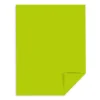 Astrobrights Card Stock<65 lb. Cardstock Paper, 8.5" x 11", Terra Green, 2,000 Sheets/Carton (22781CT)