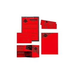 Astrobrights Multipurpose Paper<Colored Paper, 24 lbs., 8.5" x 11", , 500 Sheets/Ream (22551)