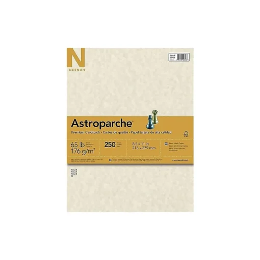 Astroparche Card Stock<65 lb. Cardstock Paper, 8.5" x 11", Natural, 250 Sheets/Pack (26428/27428)