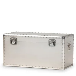 Baxton Studio Storage Cabinets<Serge 13.98" High Storage Trunk, Silver (160-10246-HiT)
