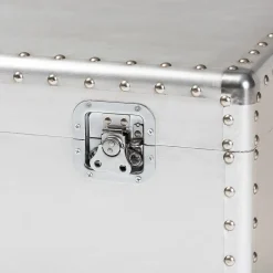 Baxton Studio Storage Cabinets<Serge 13.98" High Storage Trunk, Silver (160-10246-HiT)
