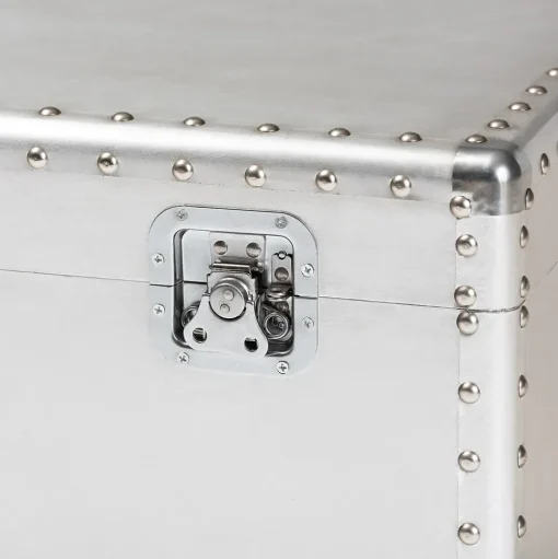 Baxton Studio Storage Cabinets<Serge 13.98" High Storage Trunk, Silver (160-10246-HiT)