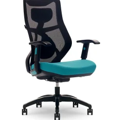 Beautyrest Ergonomic Chairs<Duo-EX Ergonomic Mesh Swivel Computer Chair, (60051-TEL)