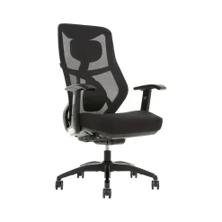 Beautyrest Ergonomic Chairs<Duo-EX Ergonomic Mesh Swivel Task Chair, /Gray (60051GRY)