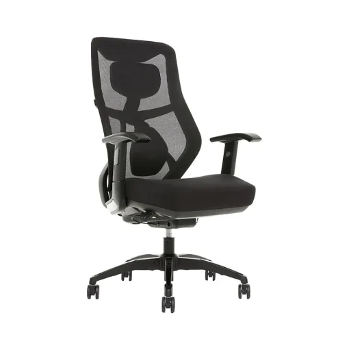 Beautyrest Ergonomic Chairs<Duo-EX Ergonomic Mesh Swivel Task Chair, /Gray (60051GRY)