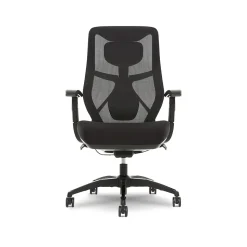 Beautyrest Ergonomic Chairs<Duo-EX Ergonomic Mesh Swivel Task Chair, /Gray (60051GRY)