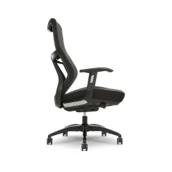 Beautyrest Ergonomic Chairs<Duo-EX Ergonomic Mesh Swivel Task Chair, /Gray (60051GRY)