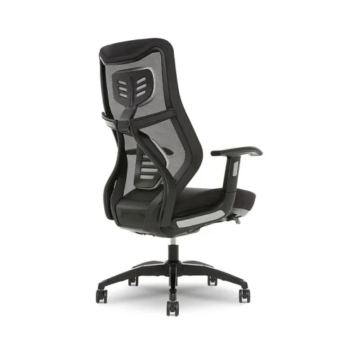 Beautyrest Ergonomic Chairs<Duo-EX Ergonomic Mesh Swivel Task Chair, /Gray (60051GRY)