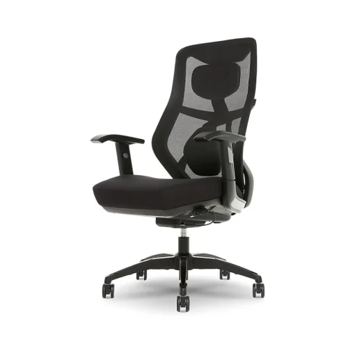 Beautyrest Ergonomic Chairs<Duo-EX Ergonomic Mesh Swivel Task Chair, /Gray (60051GRY)