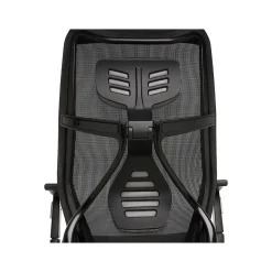 Beautyrest Ergonomic Chairs<Duo-EX Ergonomic Mesh Swivel Task Chair, /Gray (60051GRY)