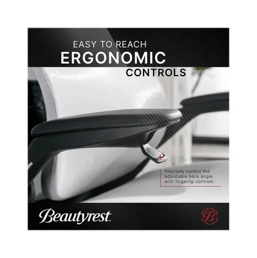 Beautyrest Ergonomic Chairs<ErgoMax Ergonomic Mesh/Fabric Swivel Task Chair, (60078-Gry)