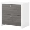 Bush Business Furniture File Cabinets<Echo 2 Drawer Lateral File Cabinet, Pure White/Modern Gray (KI60502-03)