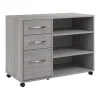 Bush Business Furniture File Cabinets<Hustle Office Storage Cabinet with Wheels, Platinum Gray (HUF140PG)