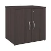 Bush Business Furniture Storage Cabinets<Studio C 30" Storage Cabinet with 2 Shelves, Storm Gray (SCS130SG)