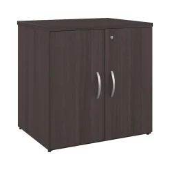 Bush Business Furniture Storage Cabinets<Studio C 30" Storage Cabinet with 2 Shelves, Storm Gray (SCS130SG)