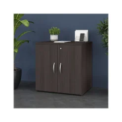 Bush Business Furniture Storage Cabinets<Studio C 30" Storage Cabinet with 2 Shelves, Storm Gray (SCS130SG)