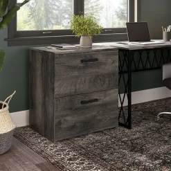 Bush Furniture File Cabinets<City Park 2 Drawer Lateral File Cabinet, (CPF127GH-03)
