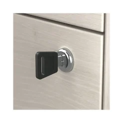 Bush Furniture File Cabinets<Homestead 2-Drawer Lateral File Cabinet, Letter/Legal Size, Lockable, Linen White Oak (HOF129LW-Z)