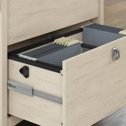 Bush Furniture Office Desks<Salinas 60"W L Shaped Desk with Lateral File Cabinet and 5 Shelf Bookcase, (SAL003AW)