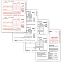 ComplyRight Tax Forms<2024 1099-DIV Tax Form Envelopes, 4-Part, 2-Up, Copies A, B, C and/or State, 10/Pack (610710)