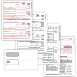 ComplyRight Tax Forms<2024 1099-INT Tax Form Envelopes, 4-Part, 2-Up, Copies A, B, C, 10/Pack (6106E10)