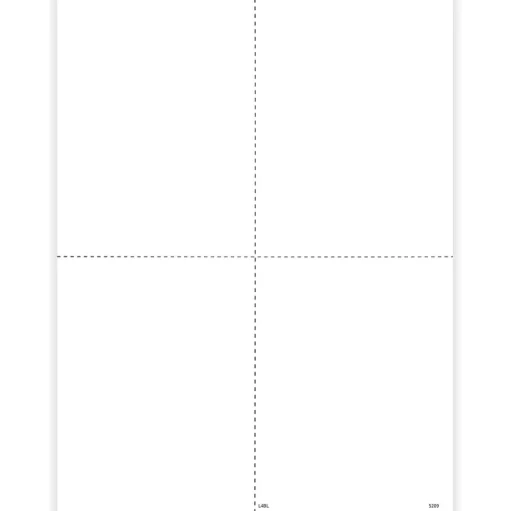 ComplyRight Tax Forms<2024 W-2 Tax Form, 1-Part, 4-Up, 500/Pack (5209B)