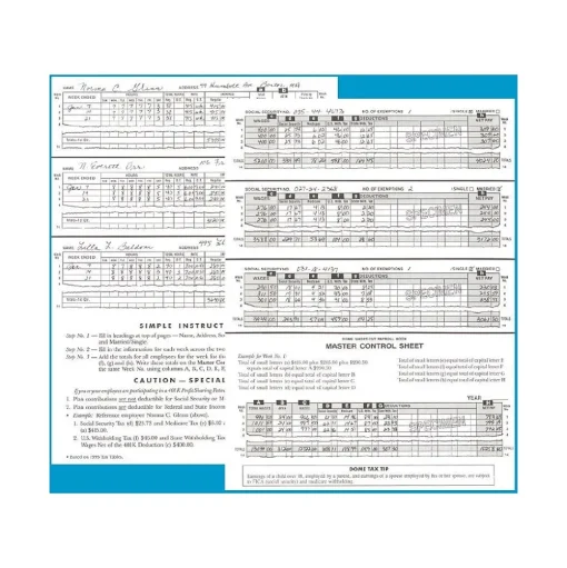 Dome Accounting & Record Journals<Short-Cut Payroll Book, 8 Columns, 11.25" x 8.75", Navy (650)