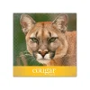 Domtar Card Stock<Cougar Digital 80 lb. Cover Paper, 11" x 17", White, 250 Sheets/Pack (2868)