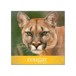 Domtar Card Stock<Cougar Digital 10% Recycled 8.5" x 11" Paper, 80 lbs., 98 Brightness, 250/Ream, 8 Reams/Carton (2986)