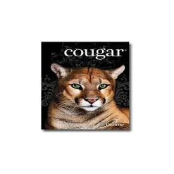 Domtar Card Stock<Cougar Digital 10% Recycled 8.5" x 11" Paper, 80 lbs., 98 Brightness, 250/Ream, 8 Reams/Carton (2986)