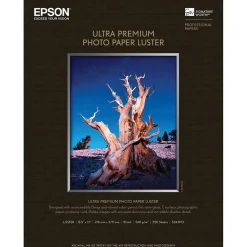 Epson Photo Paper<Premium Luster Photo Paper, 8.5" x 11", 250 Sheets/Pack (S041913)