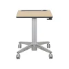 Ergotron Standing Desks<29"-45" Adjustable Desk, Maple/Silver (24-811-F13)