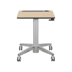 Ergotron Standing Desks<29"-45" Adjustable Desk, Maple/Silver (24-811-F13)