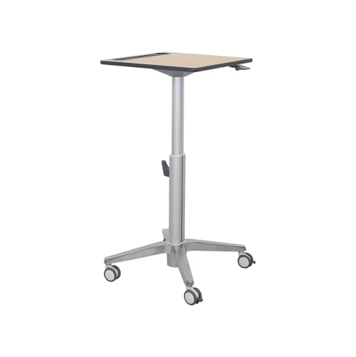 Ergotron Standing Desks<29"-45" Adjustable Desk, Maple/Silver (24-811-F13)
