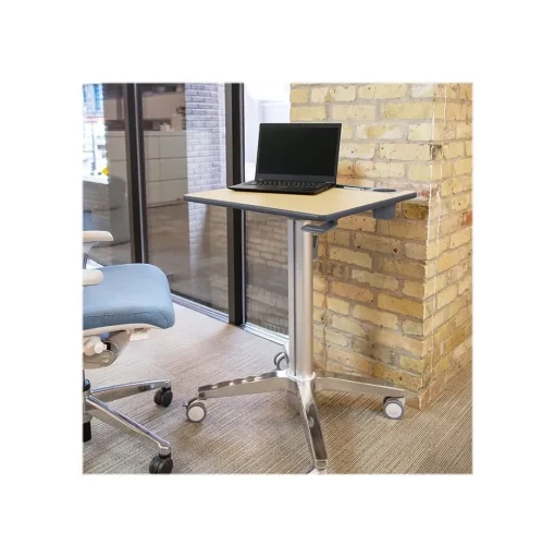 Ergotron Standing Desks<29"-45" Adjustable Desk, Maple/Silver (24-811-F13)