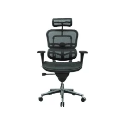 Eurotech Office Chairs<High Back Mesh Task Chair, Black (ME7ERG(N))