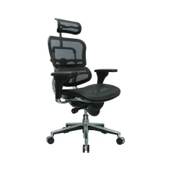 Eurotech Office Chairs<High Back Mesh Task Chair, Black (ME7ERG(N))