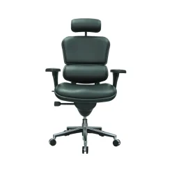 Eurotech Office Chairs<Leather Task Chair, Black (LE9ERG(N))