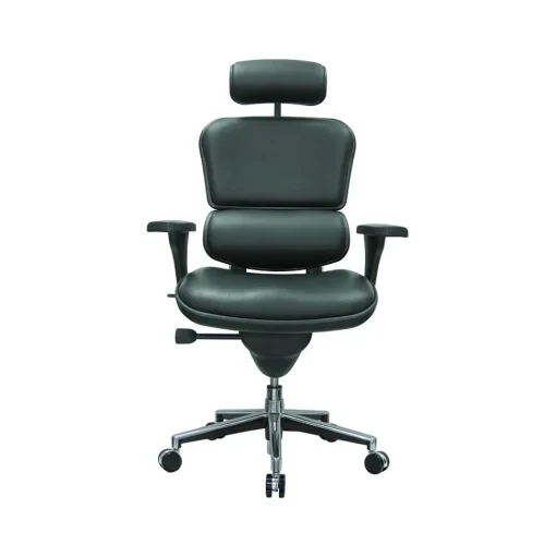 Eurotech Office Chairs<Leather Task Chair, Black (LE9ERG(N))