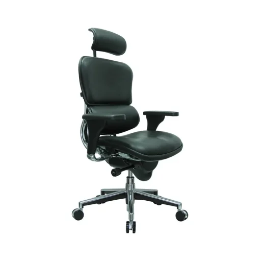 Eurotech Office Chairs<Leather Task Chair, Black (LE9ERG(N))