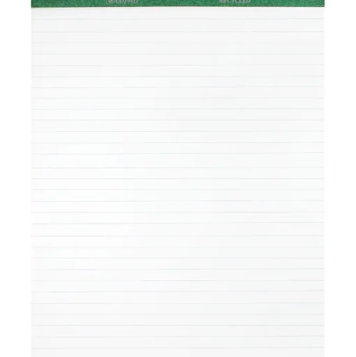 Evidence Easel Paper Pads<Easel Pad, 27" x 34", Lined, 50 Sheets/Pad, 2 Pads/Carton (24-034R)