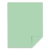 Exact Card Stock<110 lb. Index Paper, 8.5" x 11", Green, 250 Sheets/Pack (WAU49561)