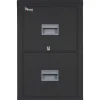 FireKing File Cabinets<® 2-Drawer Vertical File Cabinet, Letter, Black, 32"D (2P1831CBLI)