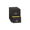 FireKing File Cabinets<1-Hour 2-Drawer Fire Resistant Vertical Cabinet, Legal-Size, Black, Inside Delivery (22131CBLI)