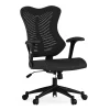 Flash Furniture Office Chairs<Kale Ergonomic Mesh Swivel High Back Executive Office Chair, Black (BLZP806BK)